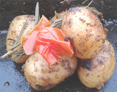 Spanferkel Grill Partyservice für Paderborn, Detmold, Bielefeld